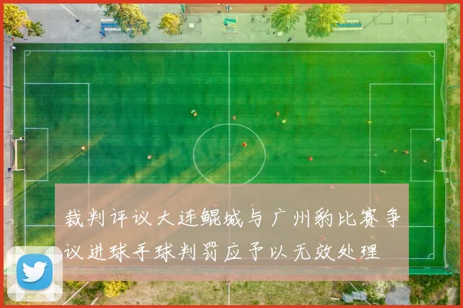 裁判评议大连鲲城与广州豹比赛争议进球手球判罚应予以无效处理
